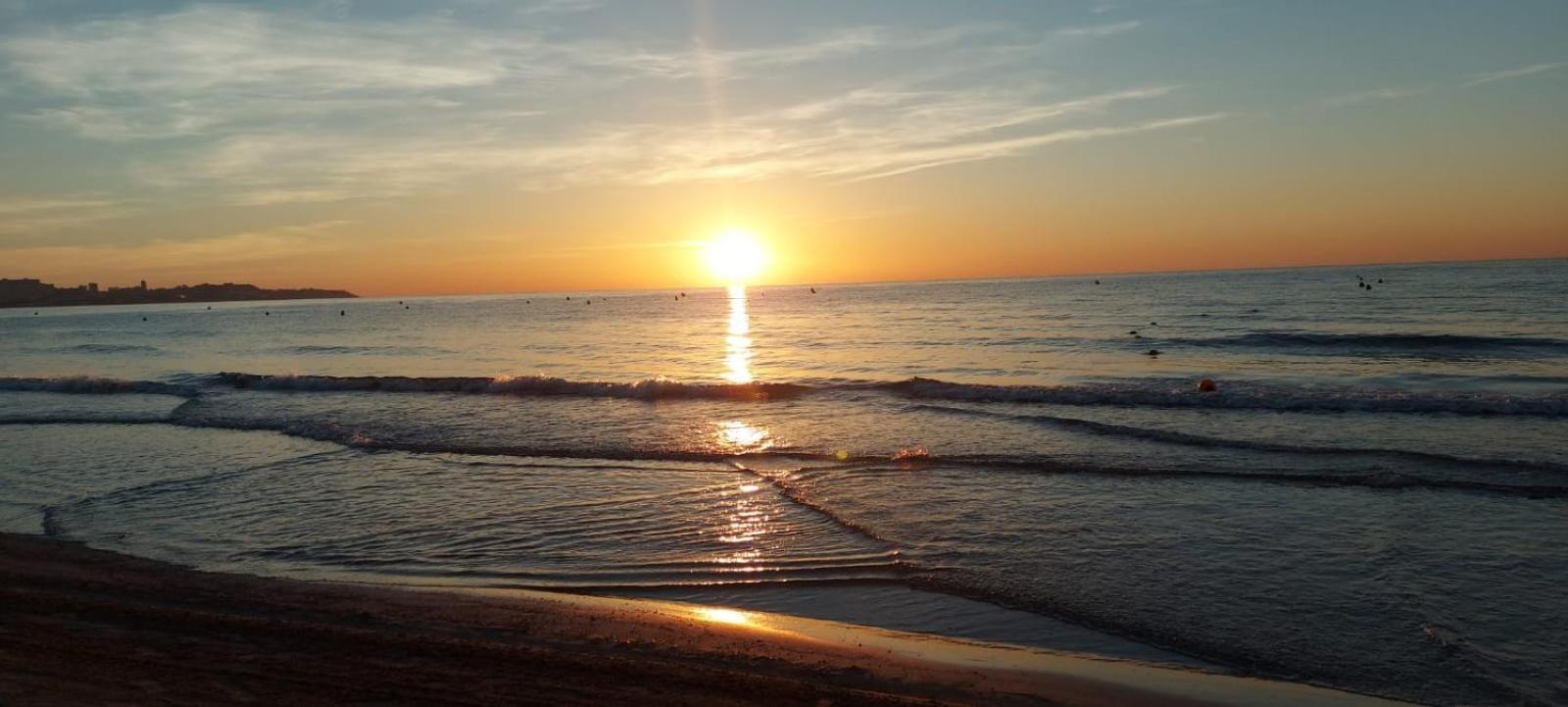 Apartament Sanfernando14 Alicante Zewnętrze zdjęcie
