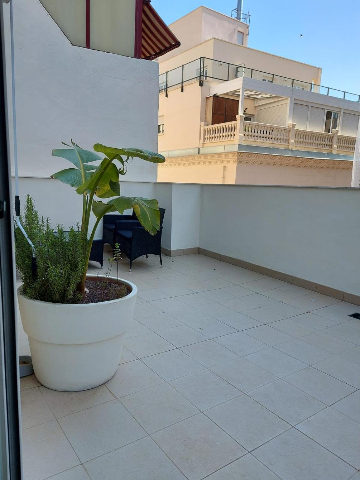 Apartament Sanfernando14 Alicante Zewnętrze zdjęcie