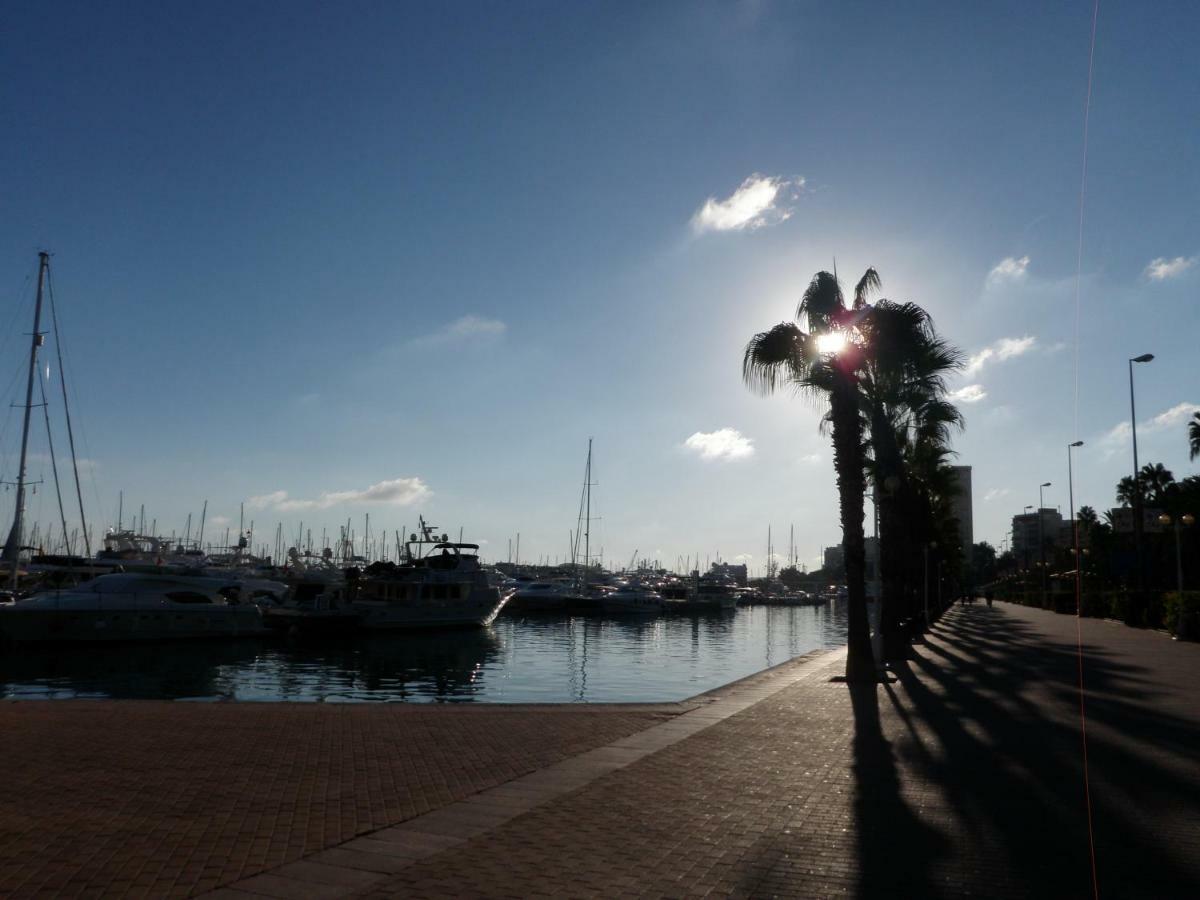 Apartament Sanfernando14 Alicante Zewnętrze zdjęcie